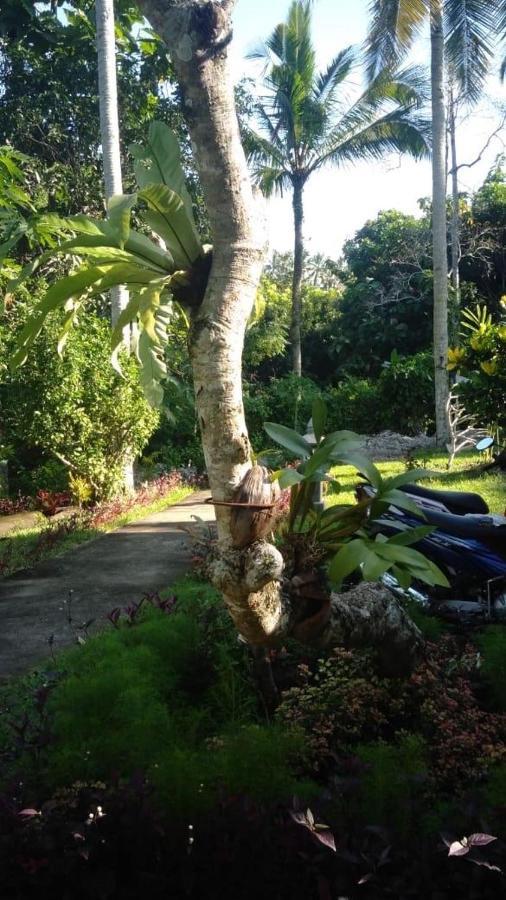 Balian Bliss Retreat Resort - Adults Only Exterior photo